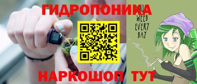 спайс Гусев