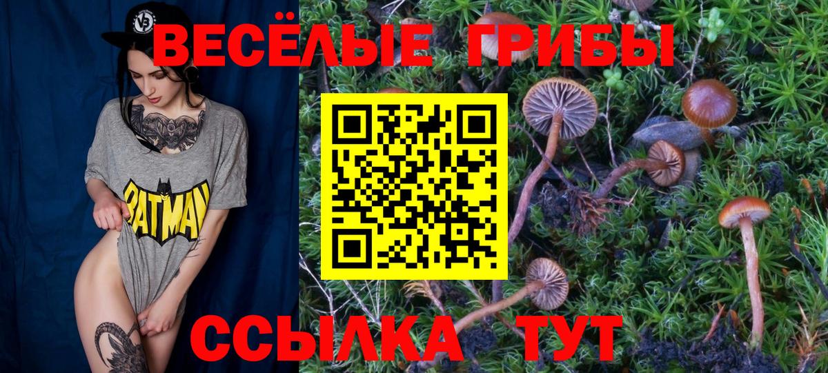Нижнеудинск  Галлюциногенные грибы мухоморы  Вход с VPN  Псилоцибиновые грибы прущие грибы 